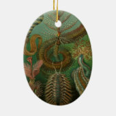 ヴィンテージミズアニッドチェトポダバイエルンストハエッケル セラミックオーナメント (裏面)