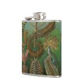 ヴィンテージミズアニッドチェトポダバイエルンストハエッケル フラスク (左)