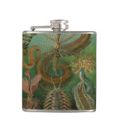 ヴィンテージミズアニッドチェトポダバイエルンストハエッケル フラスク (正面)