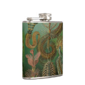 ヴィンテージミズアニッドチェトポダバイエルンストハエッケル フラスク (右)