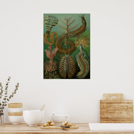 ヴィンテージミズアニッドチェトポダバイエルンストハエッケル ポスター (キッチン)