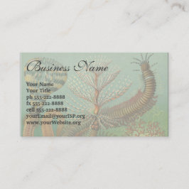 ヴィンテージミズアニッドチェトポダバイエルンストハエッケル 名刺