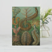 ヴィンテージミズアニッドチェトポダバイエルンストハエッケル 招待状 (スタンド正面)