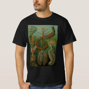 ヴィンテージミズアニッドチェトポダバイエルンストハエッケル Tシャツ