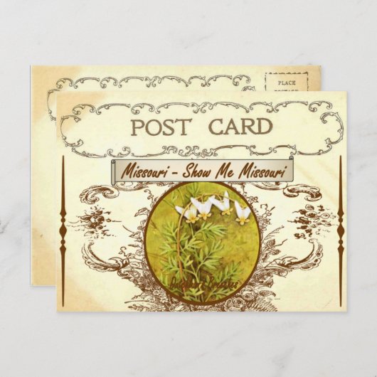 ヴィンテージミズーリ州フラワーポストカード ポストカード (正面/裏面)