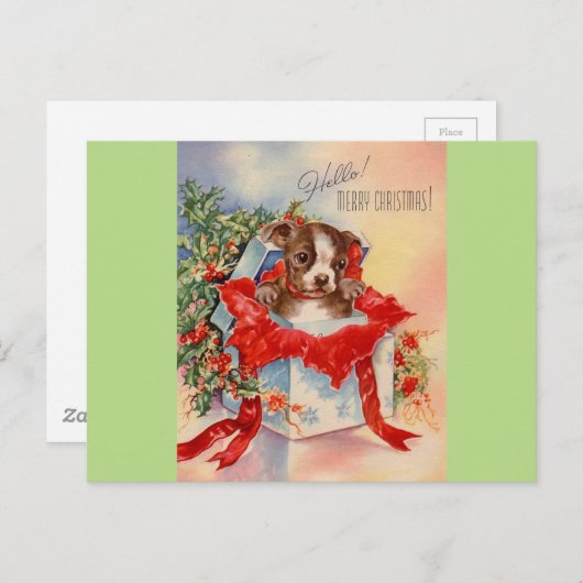 ヴィンテージミッドセンチュリービューティフルベビーボストンテリア ポストカード (正面/裏面)