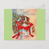 ヴィンテージミッドセンチュリービューティフルベビーボストンテリア ポストカード (正面)