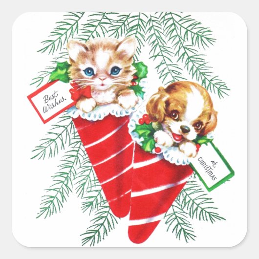 ヴィンテージミッドセンチュリービューティフルベビー子犬の子猫 スクエアシール (正面)