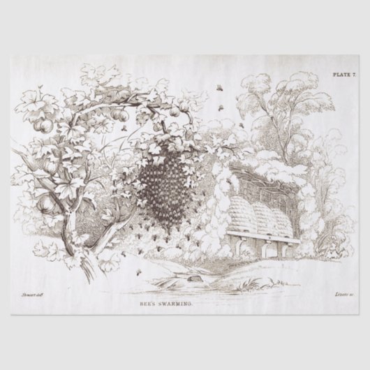 ヴィンテージミツバチ群 薄葉紙 (正面)