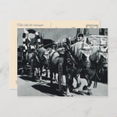 ヴィンテージミュンヘン，オクトーバーフェスト，醸造馬 ポストカード (正面/裏面)