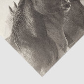 ヴィンテージムスタンウマティッシュペーパー 薄葉紙 (詳細)