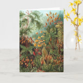 ヴィンテージムッシナ、モスプラントバイエルンスト・ヘイケル カード (黄色い花)