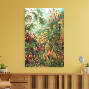 ヴィンテージムッシナ、モスプラントバイエルンスト・ヘイケル キャンバスプリント