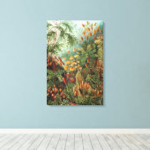 ヴィンテージムッシナ、モスプラントバイエルンスト・ヘイケル キャンバスプリント (インサイチュ (ウッドフロア))