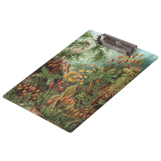 ヴィンテージムッシナ、モスプラントバイエルンスト・ヘイケル クリップボード (アングル)