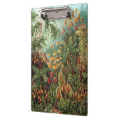 ヴィンテージムッシナ、モスプラントバイエルンスト・ヘイケル クリップボード (左)