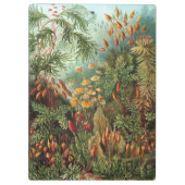 ヴィンテージムッシナ、モスプラントバイエルンスト・ヘイケル クリップボード (裏面)