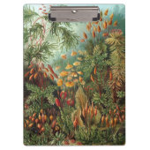 ヴィンテージムッシナ、モスプラントバイエルンスト・ヘイケル クリップボード (正面)