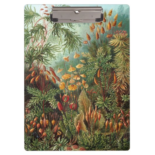 ヴィンテージムッシナ、モスプラントバイエルンスト・ヘイケル クリップボード (正面)