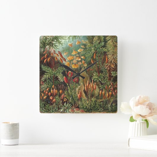 ヴィンテージムッシナ、モスプラントバイエルンスト・ヘイケル スクエア壁時計 (ホーム)