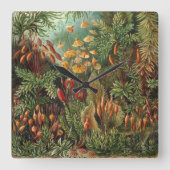 ヴィンテージムッシナ、モスプラントバイエルンスト・ヘイケル スクエア壁時計 (正面)