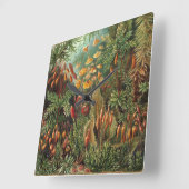 ヴィンテージムッシナ、モスプラントバイエルンスト・ヘイケル スクエア壁時計 (傾斜)