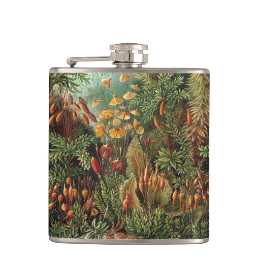 ヴィンテージムッシナ、モスプラントバイエルンスト・ヘイケル フラスク (正面)