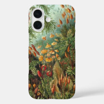 ヴィンテージムッシナ、モスプラントバイエルンスト・ヘイケル