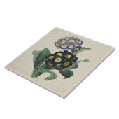 ヴィンテージムーディブルーオーリキュラプリムローズ タイル (側面)