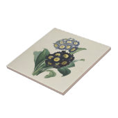 ヴィンテージムーディブルーオーリキュラプリムローズ タイル (側面)