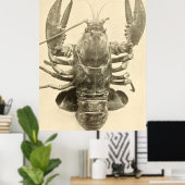 ヴィンテージメインロブスター写真(1895) 2 ポスター (ホームオフィス)