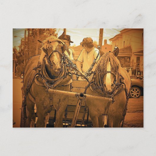 ヴィンテージメイン ポストカード (正面)