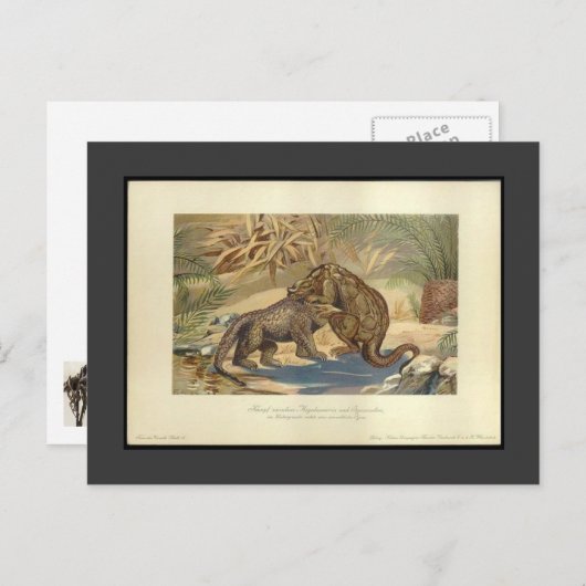 ヴィンテージメガロザウルスVSイグアノドン葉書 ポストカード (正面/裏面)