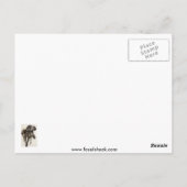 ヴィンテージメガロザウルスVSイグアノドン葉書 ポストカード (裏面)