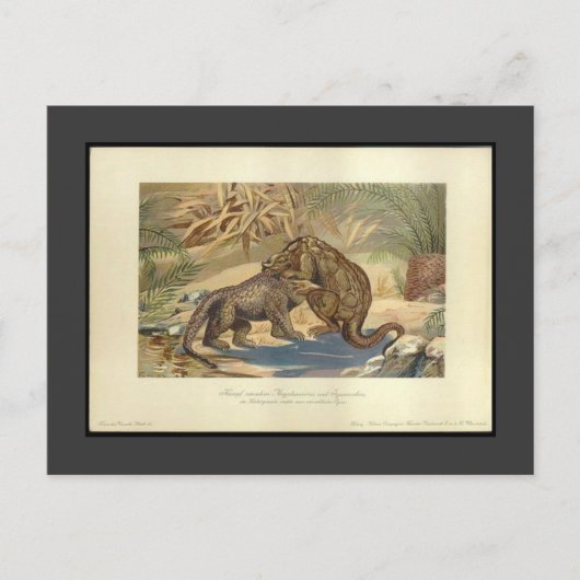 ヴィンテージメガロザウルスVSイグアノドン葉書 ポストカード (正面)