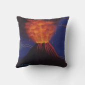 ヴィンテージメキシコトラベルパリクチン火山 クッション (裏面)