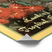 ヴィンテージメキシコランド・オブ・トロピカルスプレンダー ポスター (角)