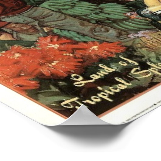 ヴィンテージメキシコ熱帯華麗ポスター ポスター (角)