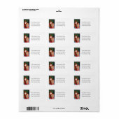 ヴィンテージメリークリスマスサンタ住所 シール (フルシート)