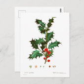 ヴィンテージメリークリスマスホリーヤドリギ ポストカード (正面/裏面)