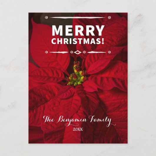 ヴィンテージメリークリスマスレッドポインセティアスカスタム シーズンポストカード (正面)