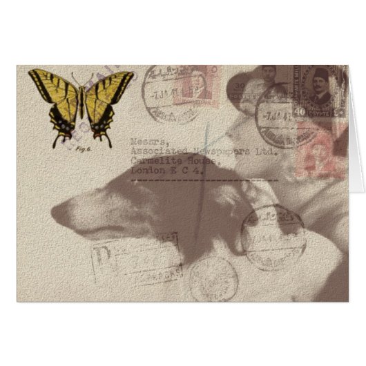 ヴィンテージメールの照合順序すべての行事 (正面横)