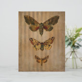 ヴィンテージモススクラップブックエフェメラ (スタンド正面)