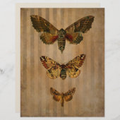 ヴィンテージモススクラップブックエフェメラ (正面/裏面)