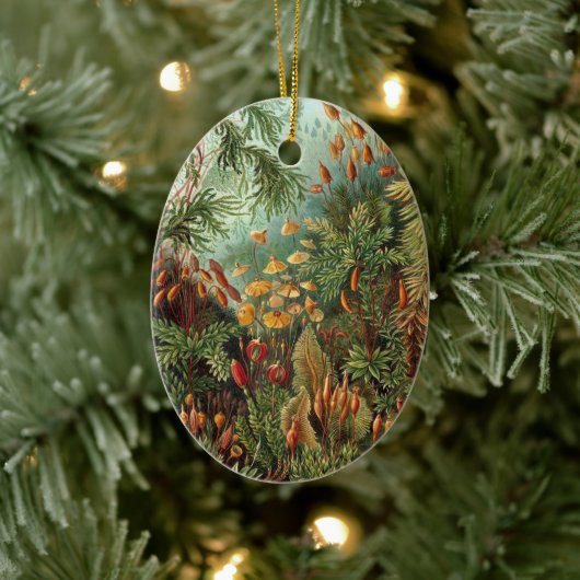 ヴィンテージモスプラントバイエルンスト・ハエッケル，ムシナ セラミックオーナメント (ツリー)