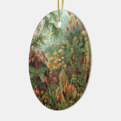 ヴィンテージモスプラントバイエルンスト・ハエッケル，ムシナ セラミックオーナメント (左)