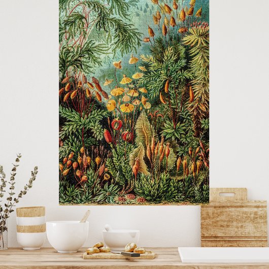 ヴィンテージモスプラントムシナエバイエルンストヘイケル ポスター (キッチン)