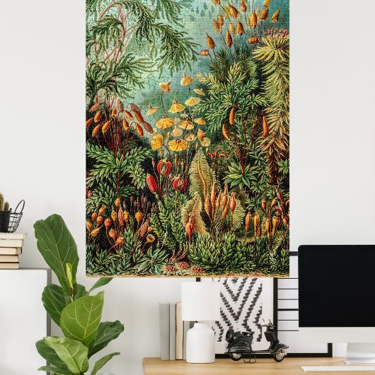 ヴィンテージモスプラントムシナエバイエルンストヘイケル ポスター (ホームオフィス)