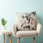 ヴィンテージモダンアマフランスのリル クッション (椅子)