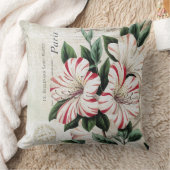 ヴィンテージモダンアマフランスのリル クッション (ブランケット)